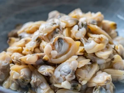 Frozen Clams Meat suppliers in Dubai, Abu Dhabi