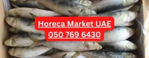 Frozen Sardine fish Assorted size 2 Frozen Sardine fish supplier UAE Dubai Abu Dhabi
