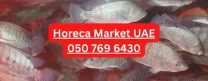 Frozen Whole Tilapia cleaned 200-300 grams suppliers UAE Dubai Abu Dhabi
