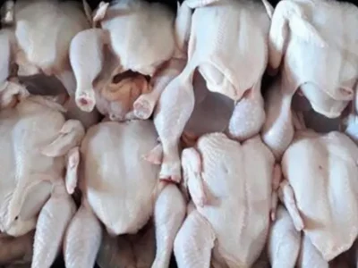 Frozen Chicken Offers in UAE