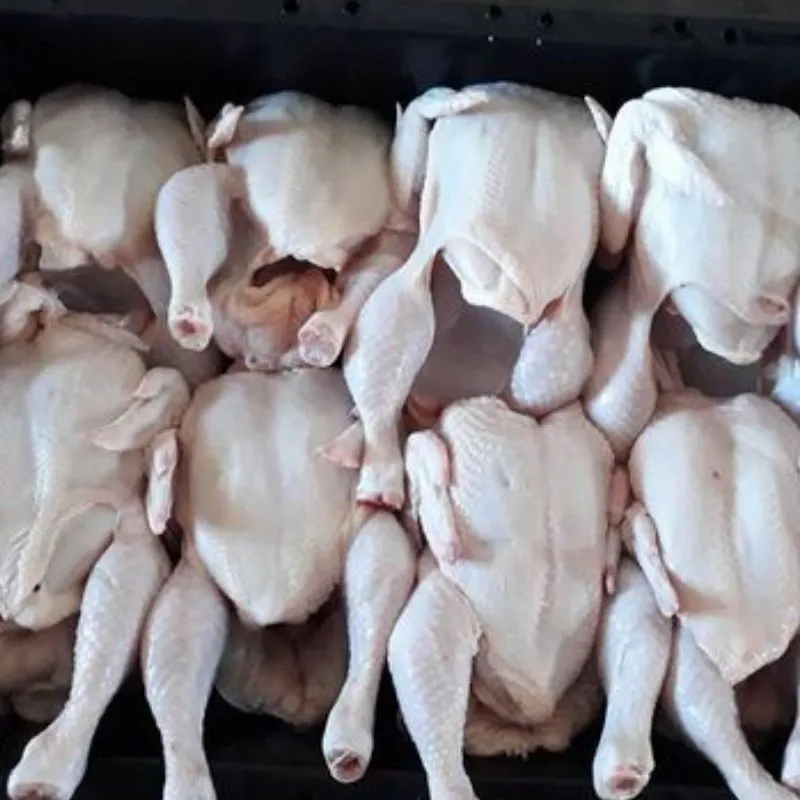 Frozen Chicken Offers in UAE Dubai Abu Dhabi