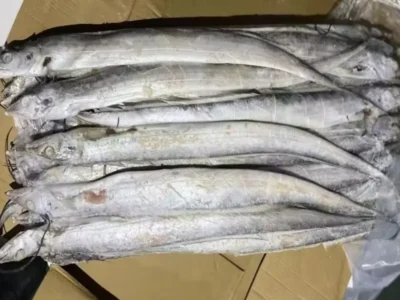 Frozen Belt Fish Ribbon Fish