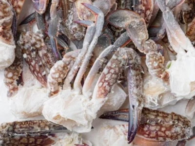 Frozen Crab
