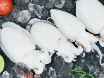 Frozen Cuttle Fish