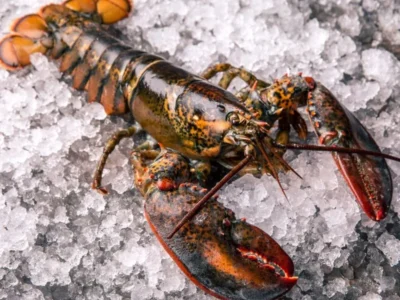 Frozen Lobster
