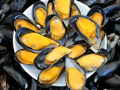 Frozen Mussels