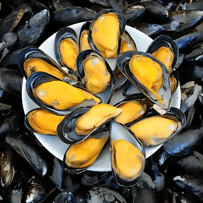 Frozen Mussels Half Shell, Full Shell, Cooked, Mussels Meat
