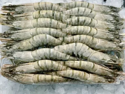 Frozen Shrimps