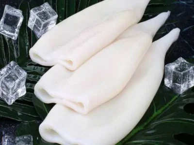 Frozen Squid