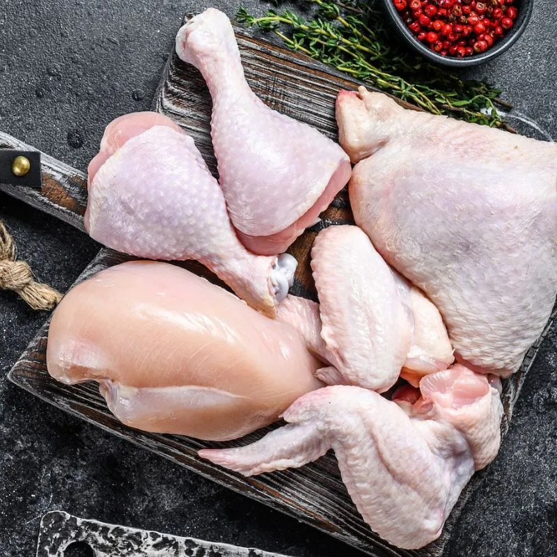 Frozen Chicken Parts Horeca Market UAE Dubai Abu Dhabi