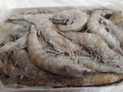 Frozen Iranian Shrimps 20/30 price in UAE